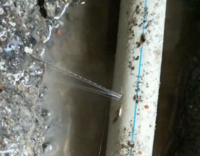 禅城测漏水哪家好