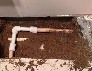 禅城测漏水哪家好