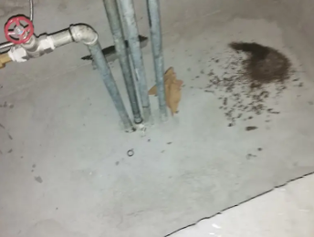 禅城卫生间测漏水价格明细