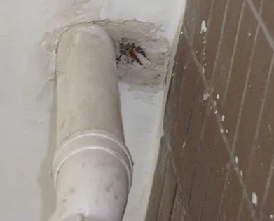 禅城漏水检测哪家好